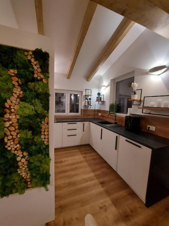 Auszeit Steiraland Penthouse 9 Mit Grossen Balkon Und Parkplatz Leilighet Leoben  Eksteriør bilde